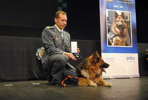 Ajax recibió la máxima  distinción que otorga el Reino Unido a un animal por actos de valentía. (Foto Prensa Libre: EFE)