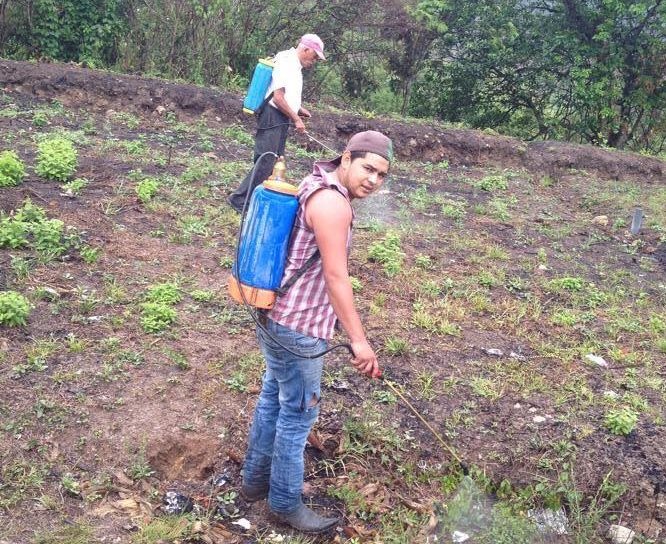 Mike Wilson Arita Hurtado, de 24 años, apoyó a su padre en las labores agrícolas mientras vivió en Chanmagua, Esquipulas. (Foto Prensa Libre: Cortesía)