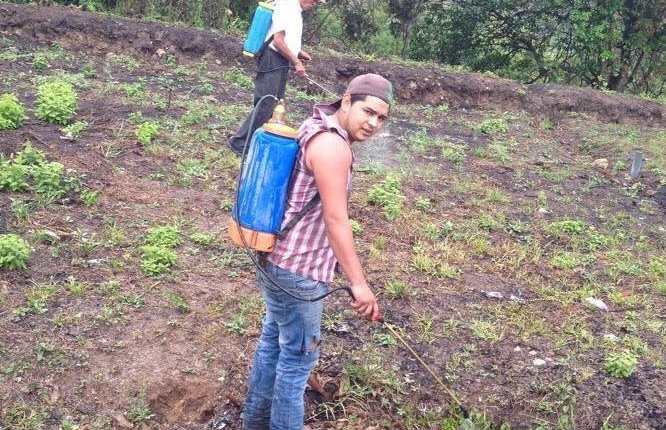 Mike Wilson Arita Hurtado, de 24 años, apoyó a su padre en las labores agrícolas mientras vivió en Chanmagua, Esquipulas. (Foto Prensa Libre: Cortesía)