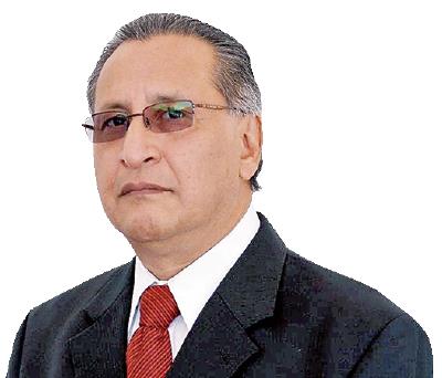 Haroldo Shetemul @hshetemul