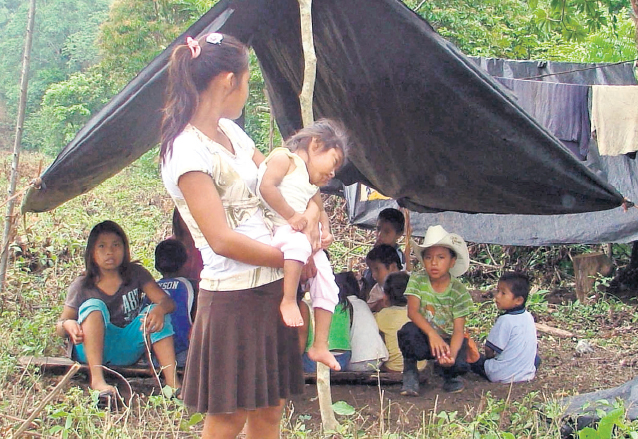 En champas, sin mayor protección se refugiaron unas 200 personas luego de haber sido desalojadas de La Libertad, Petén en 2011. (Foto: Hemeroteca PL)