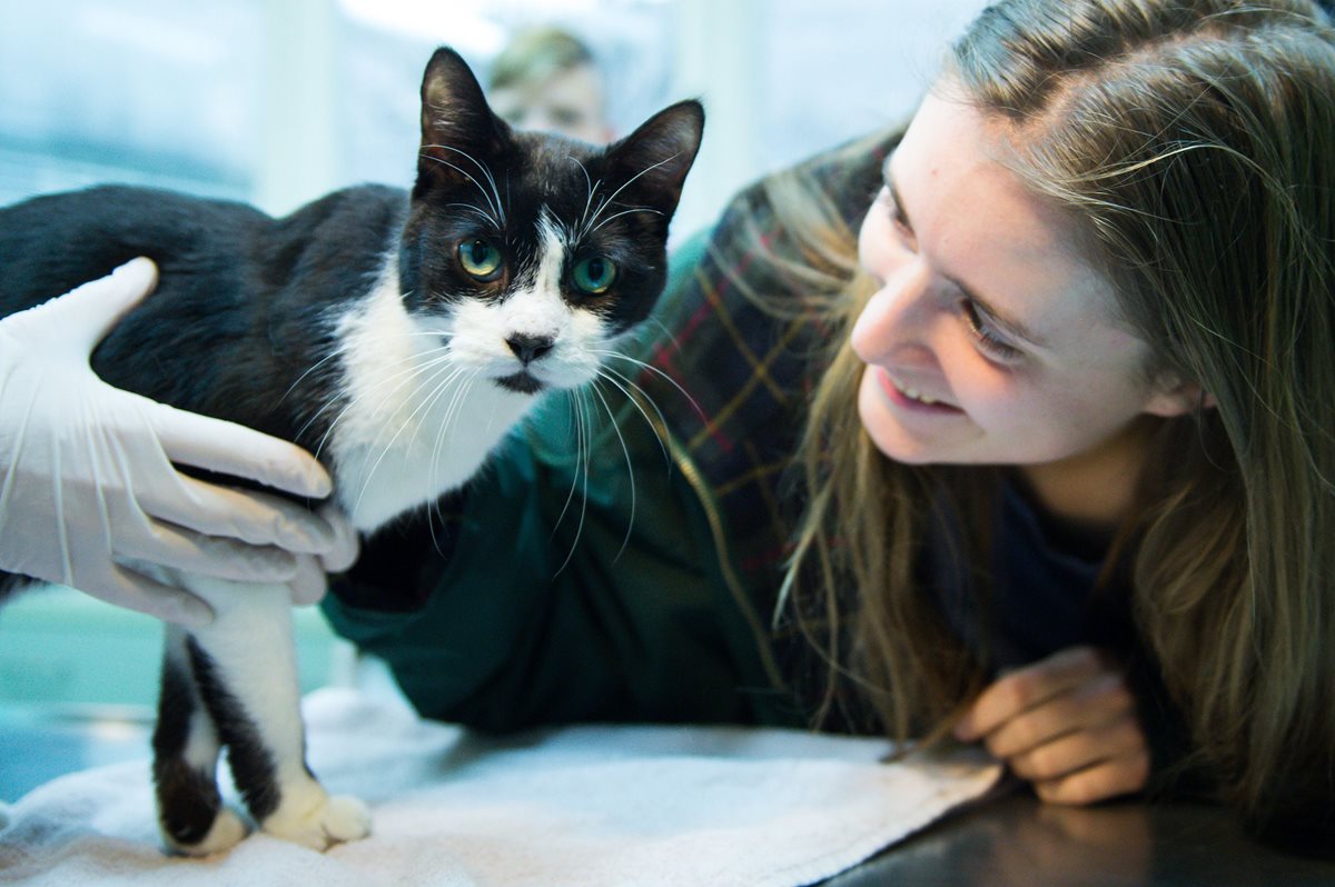 Elena Hanke recupera a su gato "Miko" que perdió hace siete años. (AFP)