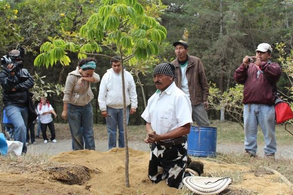 El vecino Santiago Pamal planta la ceiba en el cerro La Cruz. (Foto Prensa Libre: Miguel López)<br _mce_bogus="1"/>