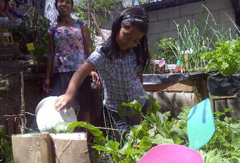 una niña riega los cultivos de hortalizas que tiene su familia en la vivienda, en apoyo a su madre.
