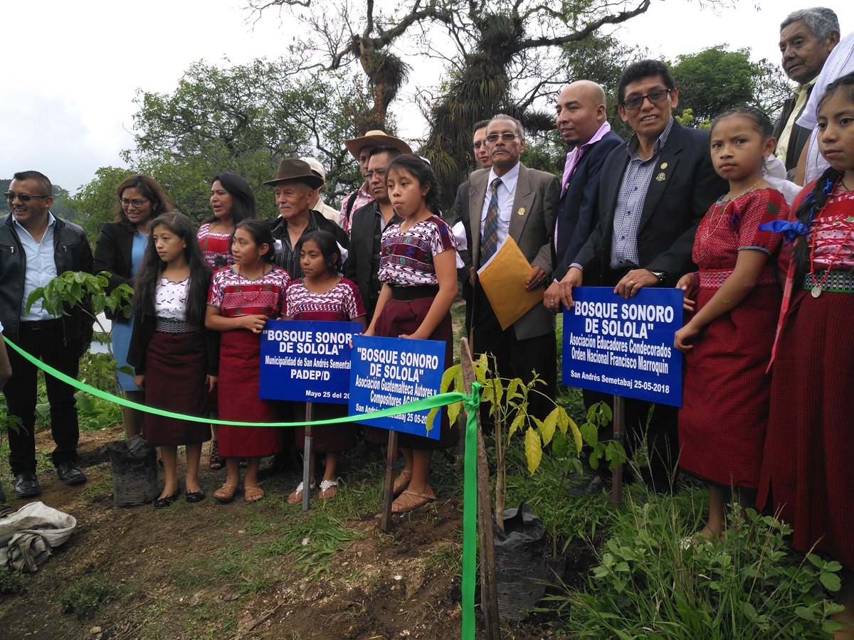 Estudiantes y autoridades de varias instituciones  plantaron árboles de hormigo en San Andrés Semetabaj, Sololá. (Foto Prensa Libre: Ángel Julajuj)