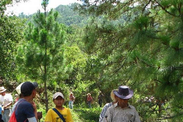 Fidel Hernández  es el músico del evento.