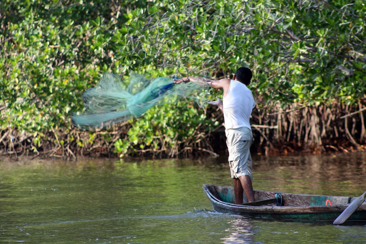Debido a sus riqueza natural, Manchón Guamuchal es un lugar favorable para la pesca. (Foto Prensa Libre: Rolando Miranda)