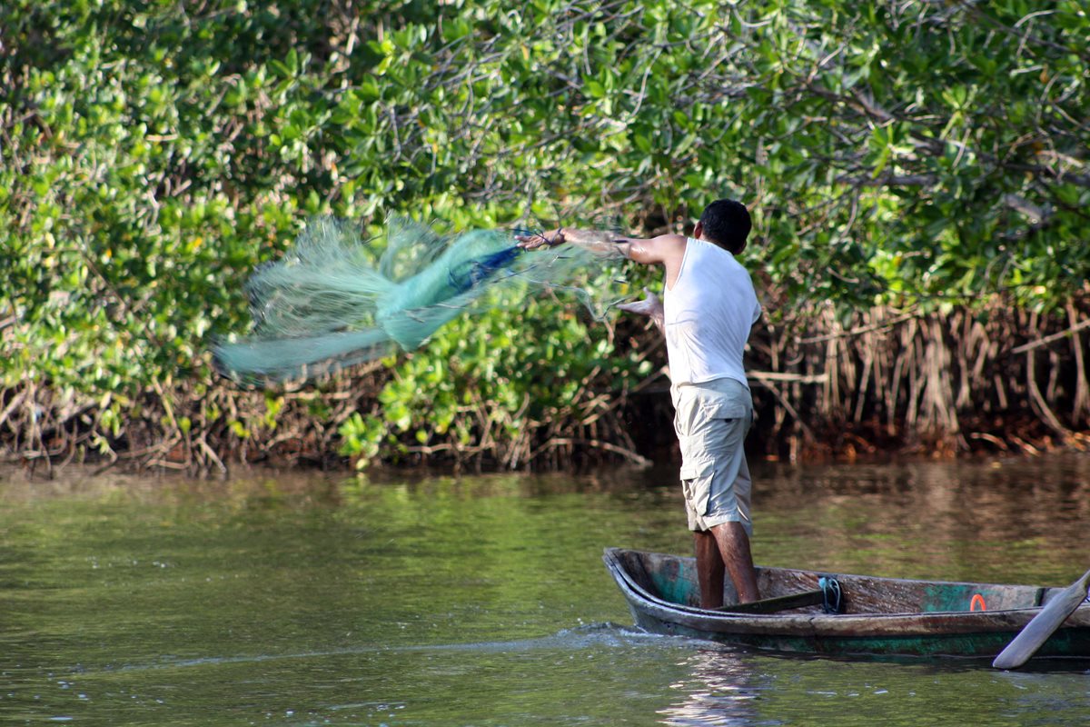 Debido a sus riqueza natural, Manchón Guamuchal es un lugar favorable para la pesca. (Foto Prensa Libre: Rolando Miranda)