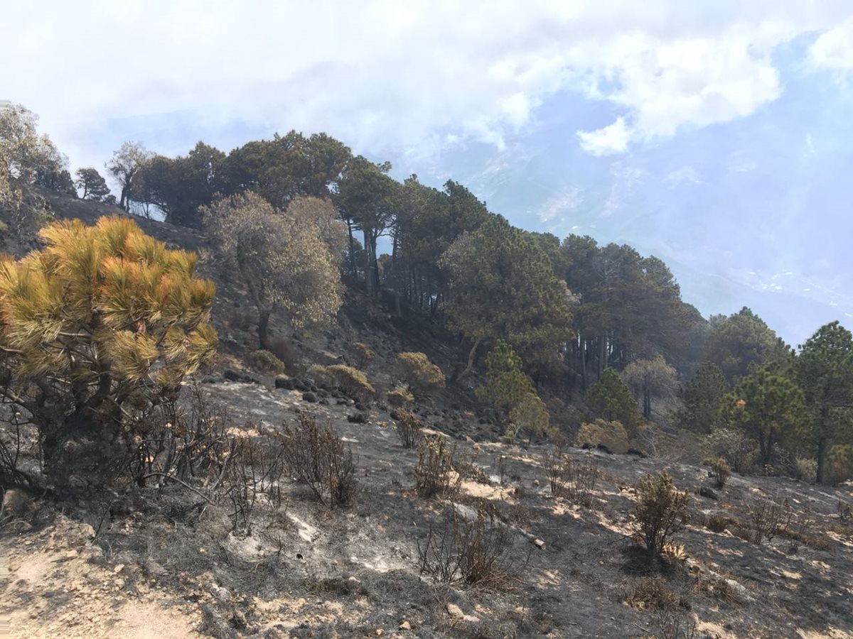 Unas 30 hectáreas fueron devastadas por el incendio forestal en el Volcán Santa María. (Foto Prensa Libre: Cortesía Gestión de Riesgos Municipal)