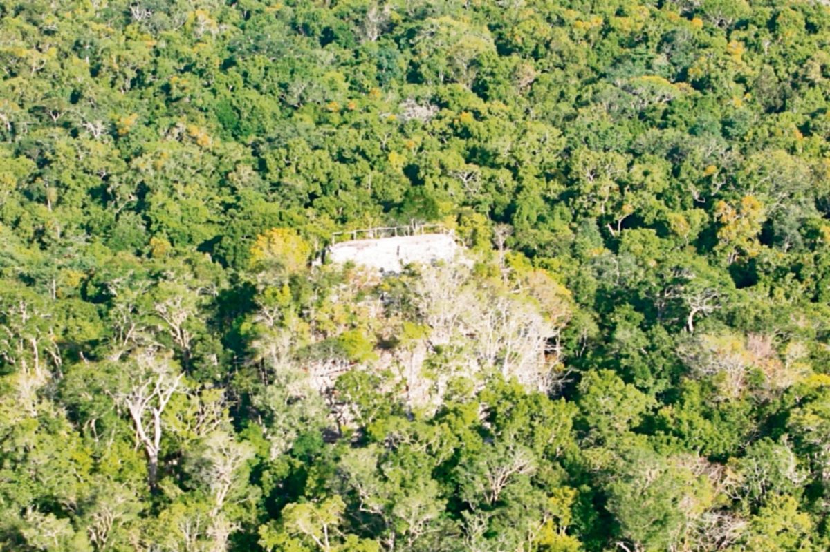 En la selva que rodea al sitio El Mirador existen seis tipos de bosque tropical.(Foto Prensa Libre: Hemeroteca PL)