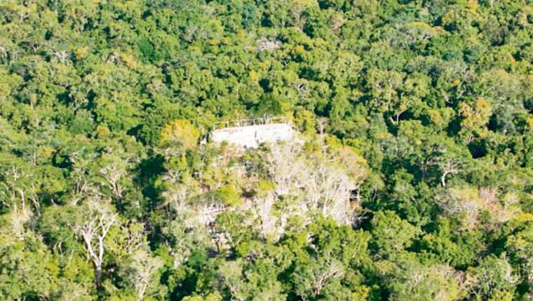 En la selva que rodea al sitio El Mirador existen seis tipos de bosque tropical.(Foto Prensa Libre: Hemeroteca PL)