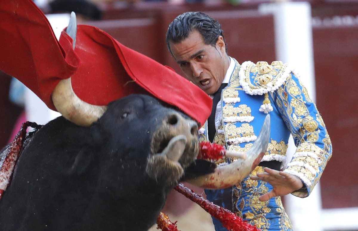Iván Fandiño no pudo sobreponerse a la cornada que el toro "Provechito" le dio en Francia, donde falleció horas despúes. (Foto Prensa Libre: ARCHIVO EFE)