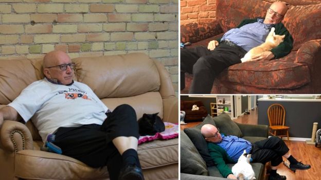 Una oportunidad para que Terry los acicale en uno de los sofás es un gran momento para los gatos del santuario. (SAFE HAVEN PET SANCTUARY)
