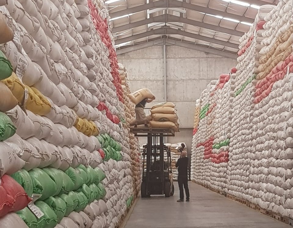 Guatemala exportó 4.3 millones de quintales de café oro en la cosecha 2017-18, registrando un leve incremento, según los datos de Anacafé. (Foto Prensa Libre: Hemeroteca)