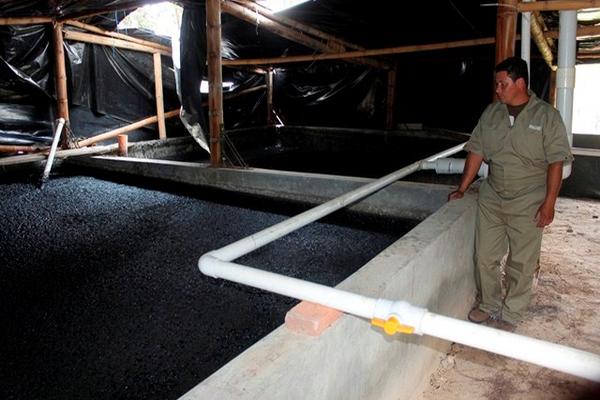 Tanque Biodigestor, donde las bacterias generan metano a partir de estiércol. (Foto Prensa Libre: Miguel López)