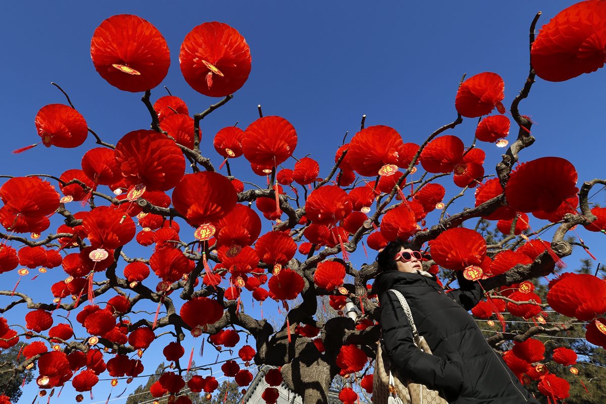 Una mujer pasea bajo un árbol decorado para celebrar el Año Nuevo Lunar en el parque Ditan de Pekín, China. (Foto Prensa Libre: EFE).