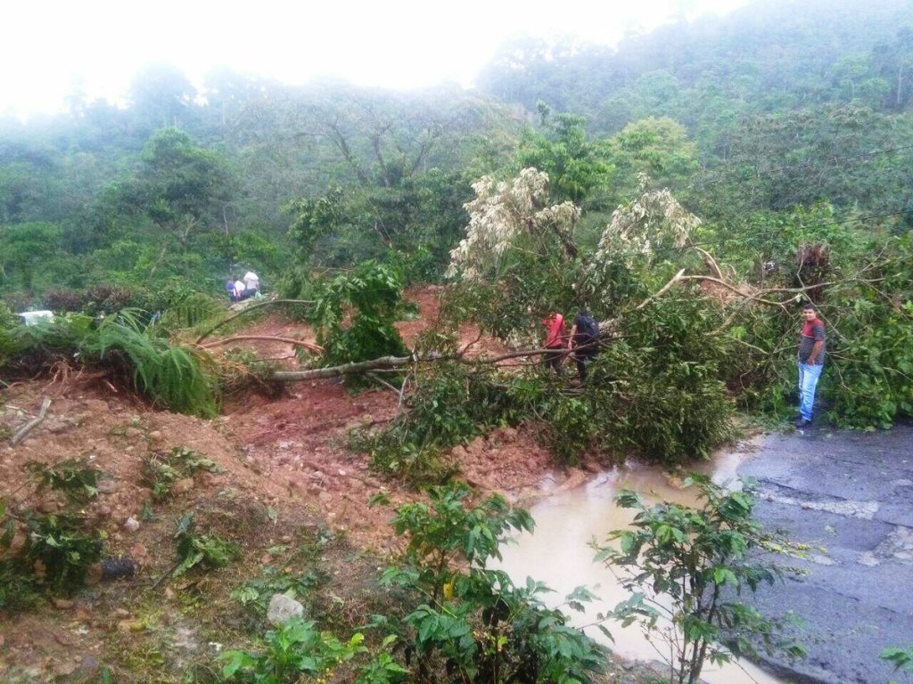 La lluvia provocó un derrumbe en el kilómetro 299 en la ruta que a El Tumbador, San Marcos. (Foto Prensa Libre: Insivumeh)