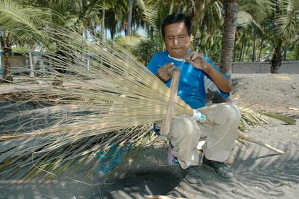 Material orgánico es resistente y abundante en guatemala.