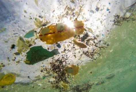 Contaminación por plástico en aguas y playas del Océano Atrlántico Norte y en el Círculo Ártico.