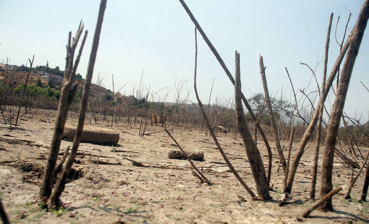 Según los datos del instituto meteorológico, se espera que la canícula se instale “del 8 al 15 de julio. (Foto Prensa Libre: Hemeroteca PL)