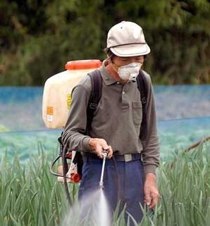 La oenegé advierte los peligros de los pesticidas para el consumo humano y el medioambiente. (Foto Prensa Libre: EFE)