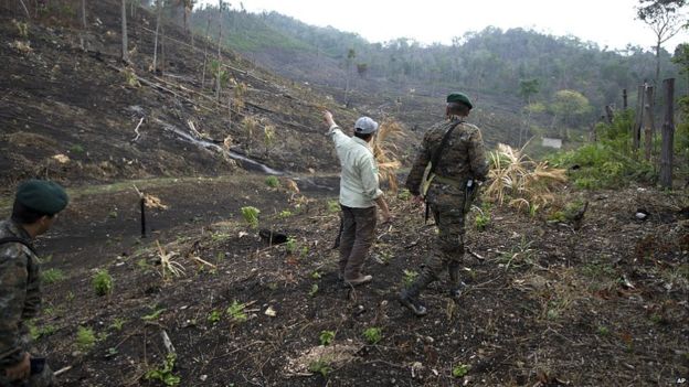 Solo este año se han presentado 192 incendios forestales en esa zona de Guatemala. (AP)
