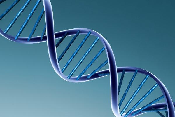 Científicos ya han ingresado información digital, como música y documentos. (Foto: tomada de Tecnispain.blogspot.com)<br _mce_bogus="1"/>