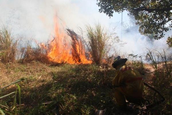 Bombero controla incendio forestal en la zona 1 de Escuintla. (Foto Prensa Libre: Melvin Sandoval) <br _mce_bogus="1"/>
