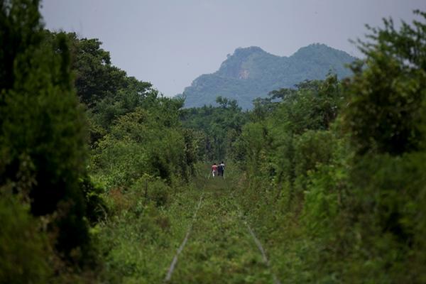 Los migrantes que buscan llegar a Estados Unidos buscan nuevas rutas para abordar el tren La Bestia, en México. (Foto Prensa Libre: AP)<br _mce_bogus="1"/>