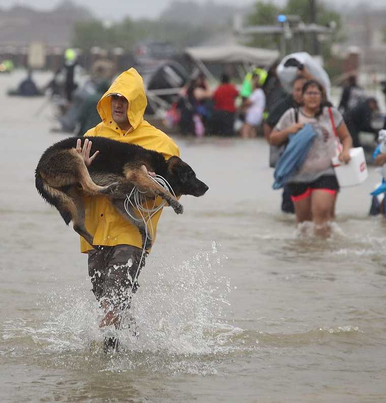 Varios evacuados dejan sus viviendas por las inundaciones en Houston,Texas.(AFP).