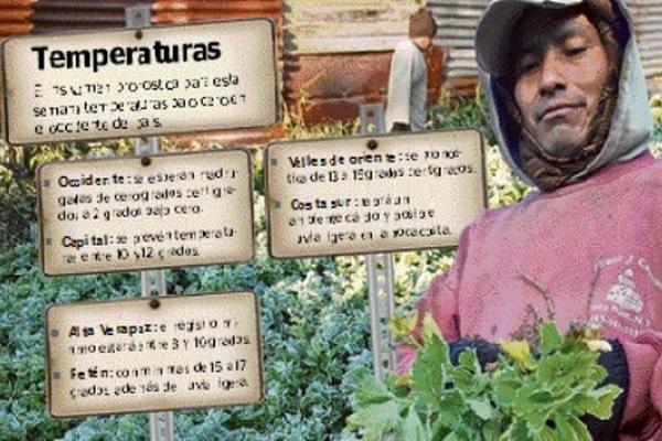 Hortalizas y flores son las que están en mayor peligro por  el frío.
