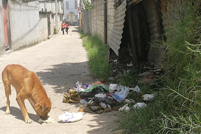 Uno de los callejones de la zona 10 de Mixco es utilizado como vertedero. Personal de la alcadía auxiliar limpia todas las mañanas, pero en plena luz del día los vecinos lanzan basura en la calle. (Foto Prensa Libre: Oscar Felipe Q.)