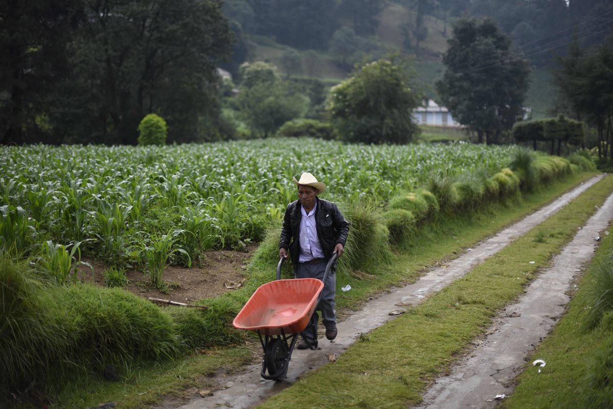 La aldea Los Mendoza en San Juan Ostuncalco, Quetzaltenango, es una comunidad de personas que se dedican, en su mayoría, a la agricultura.