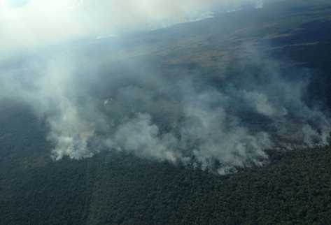 Incendio forestal destruye bosque en el parque Sierra del Lacandón, en Las Cruces, Petén. (Foto Prensa Libre: Rigoberto Escobar).