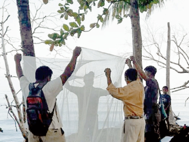 Personal de Salud toma muestras de sangre a pobladores de Punta de Manabique, Puerto Barrios.