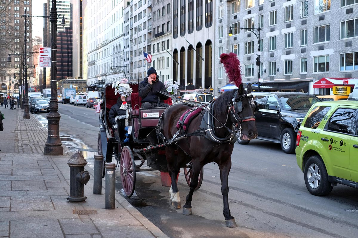 Los carruajes de caballos en Nueva York aprovechan hacer sus últimos recorridos sobre el asfalto. (Foto Prensa Libre: AFP).