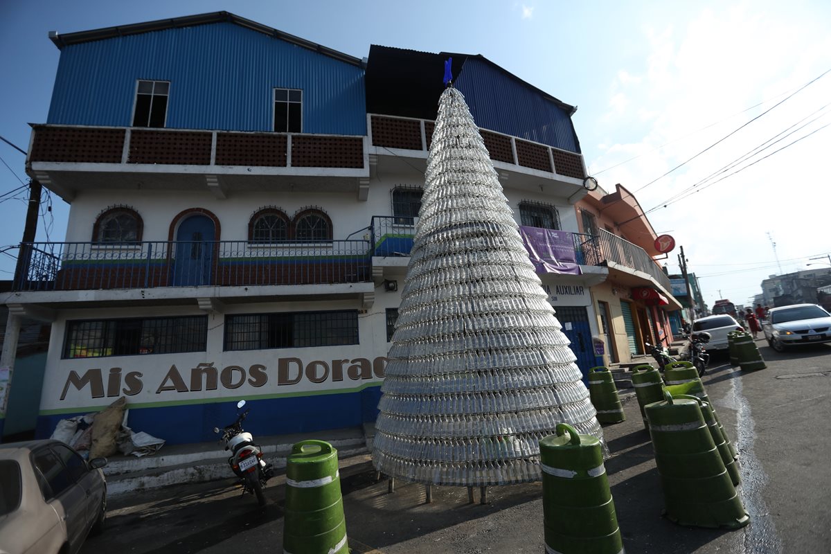 Árbol adornará la calle principal, frente a la alcaldía de la zona 6 de Mixco. (Foto Prensa Libre: Esbin García)