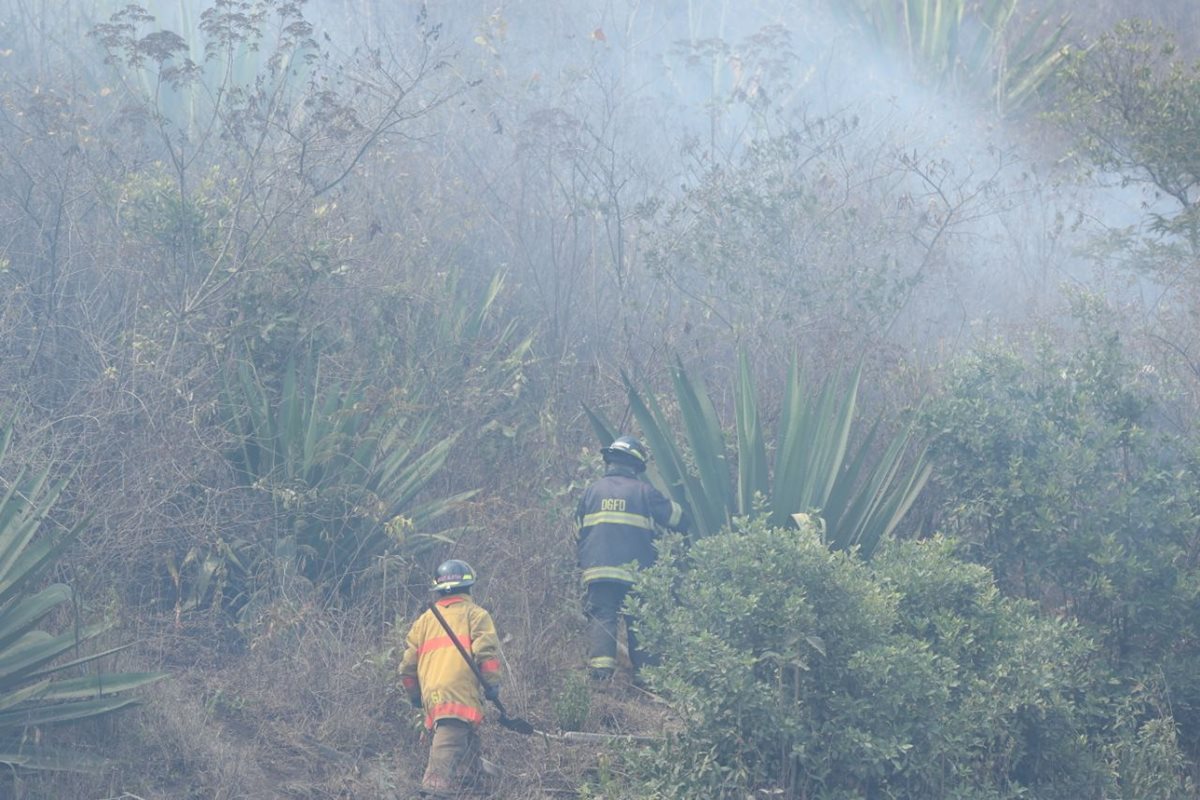 Las autoridades indican que por el momento sólo se lamentan daños materiales y no hay pérdidas humanas.