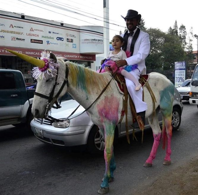 Hansy Rulamán, y su hija Maya, pasean por las calles de Xela, en un caballo disfrazado de unicornio. (Foto Prensa Libre: Stereo100noticias)