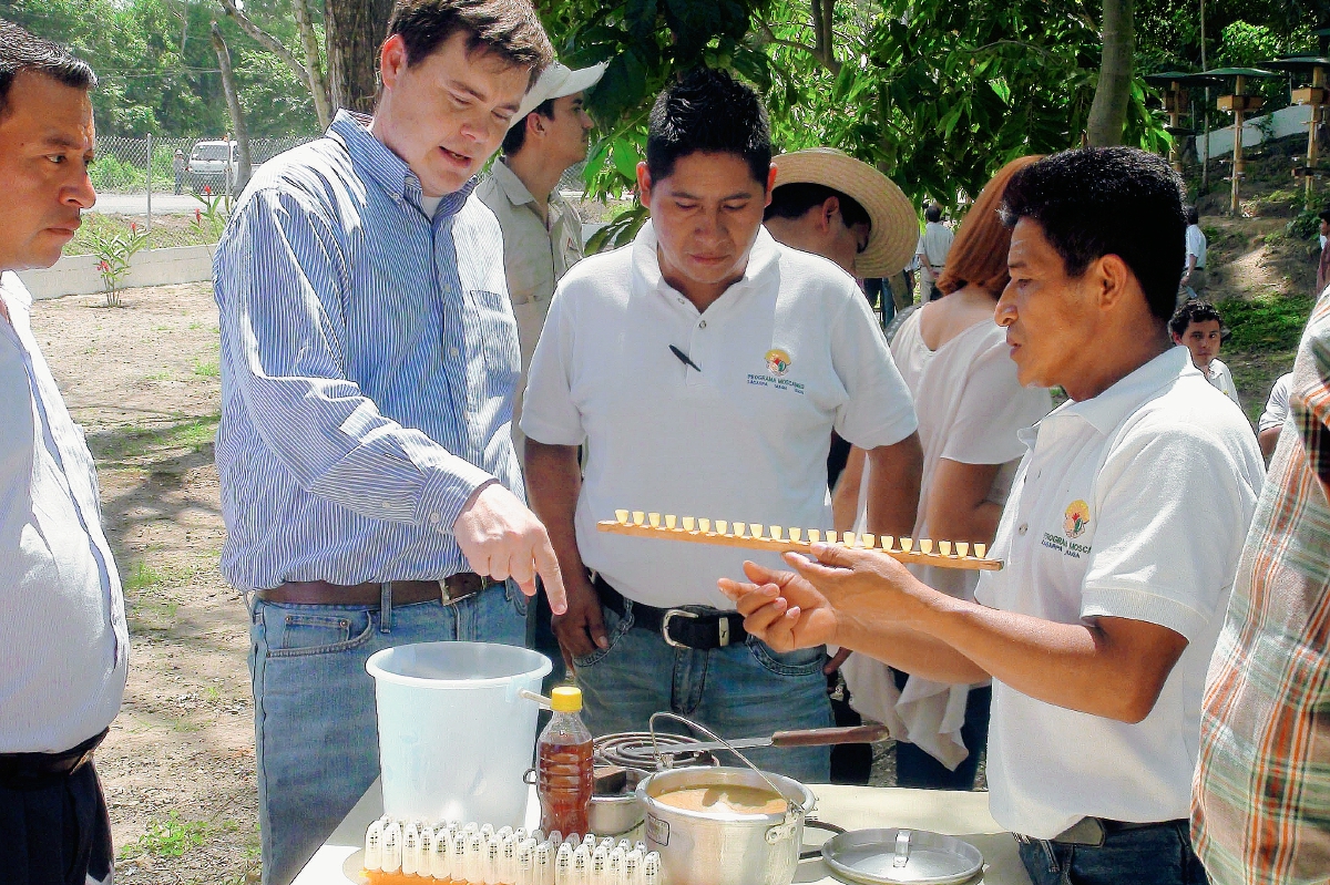 Expertos en  apicultura dan una demostración de manejo a las personas que asistieron a la inauguración del Centro de Transferencia de Tecnología Apícola, en Río Bravo, Suchitepéquez. (Foto Prensa Libre: Melvin Popá)
