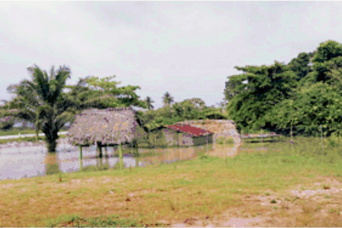 Varias Viviendas fueron inundadas por el desborde del río Chahal, en Livingston, Izabal. (Foto Prensa Libre: Conred)