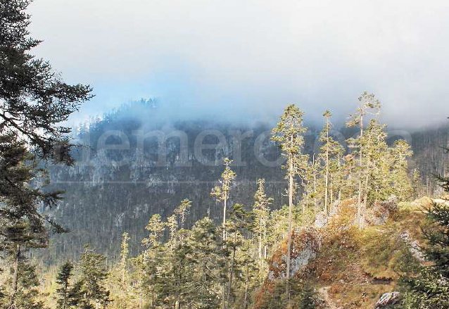 Paisaje visto desde Puerta del Cielo. (Foto: Hemeroteca PL)