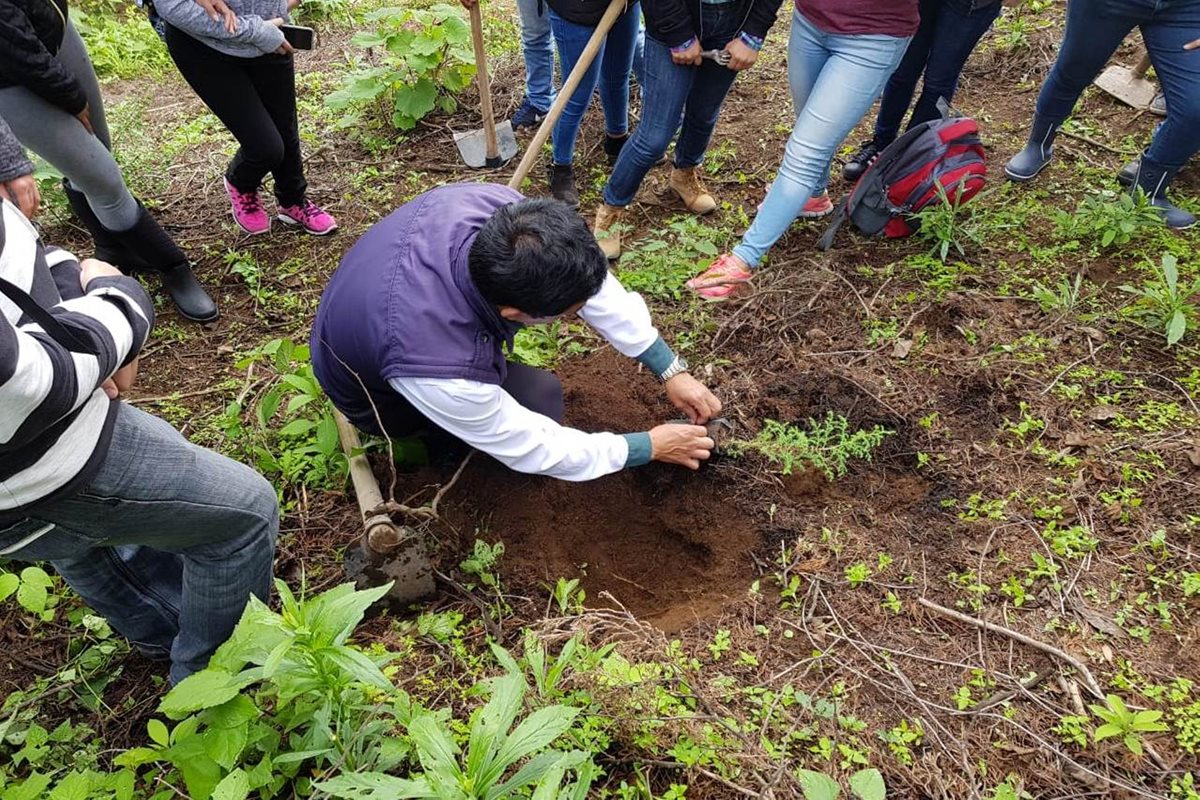Jóvenes que colaboran con la forestación aprenden la forma en que deben sembrar los árboles. (Foto Prensa Libre: María José Longo)