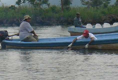 Varios hombres colaboran en los trabajos para la recuperación de  los cadáveres de tres universitarios que se ahogaron en el Lago de Izabal, el sábado por la noche.