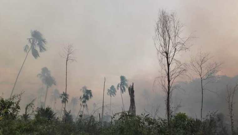 Menonitas beliceños incendian área talada en la zona de adyacencia. (Foto Prensa Libre: Rigoberto Escobar)