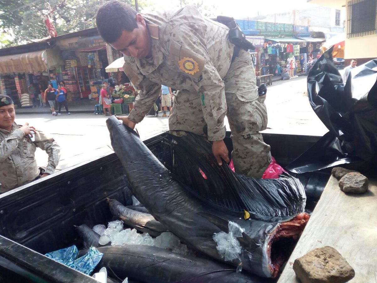Los peces atrapados por los pescadores furtivos fueron trasladados al juzgado de turno de Escuintla para mostrarlos como prueba. (Foto Prensa Libre: Enrique Paredes)