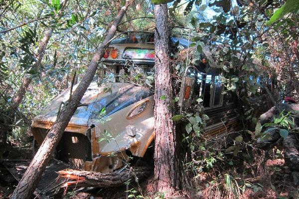 dOS ÁRBOLES impidieron que el autobús se precipitara a  un barranco.
