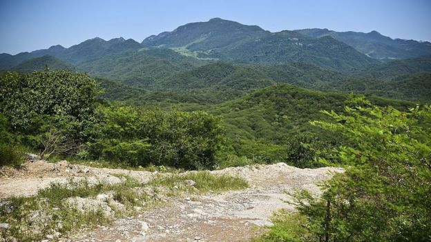 Las montañas de Sinaloa son el territorio preferido del cartel que lidera el "Chapo". AFP