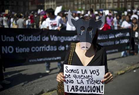 Ciudadanos mexicanos animaron a los diputados de la Asamblea Legislativa a que voten a favor de la prohibición de las corridas de toros.(Foto Prensa Libre: AFP)