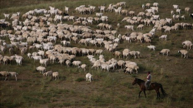 Lo arrieros viajaban grandes distancias por el sur y el sureste de Brasil para trasladar mercancías. GETTY IMAGES